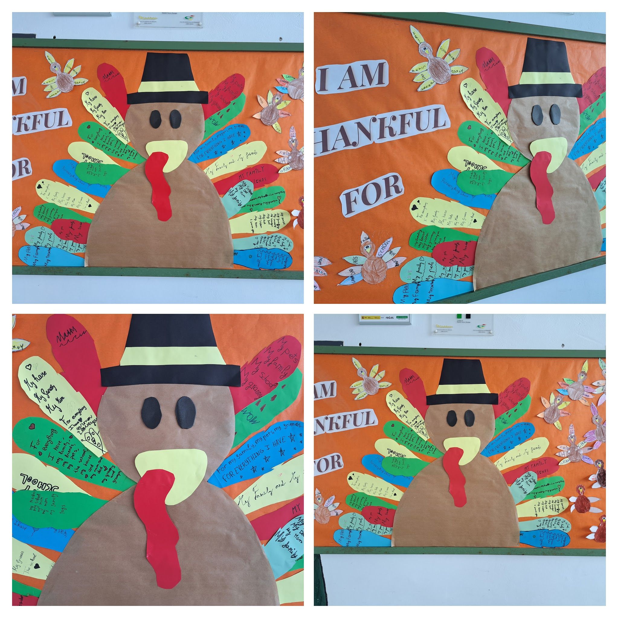 20221124 131450 COLLAGE