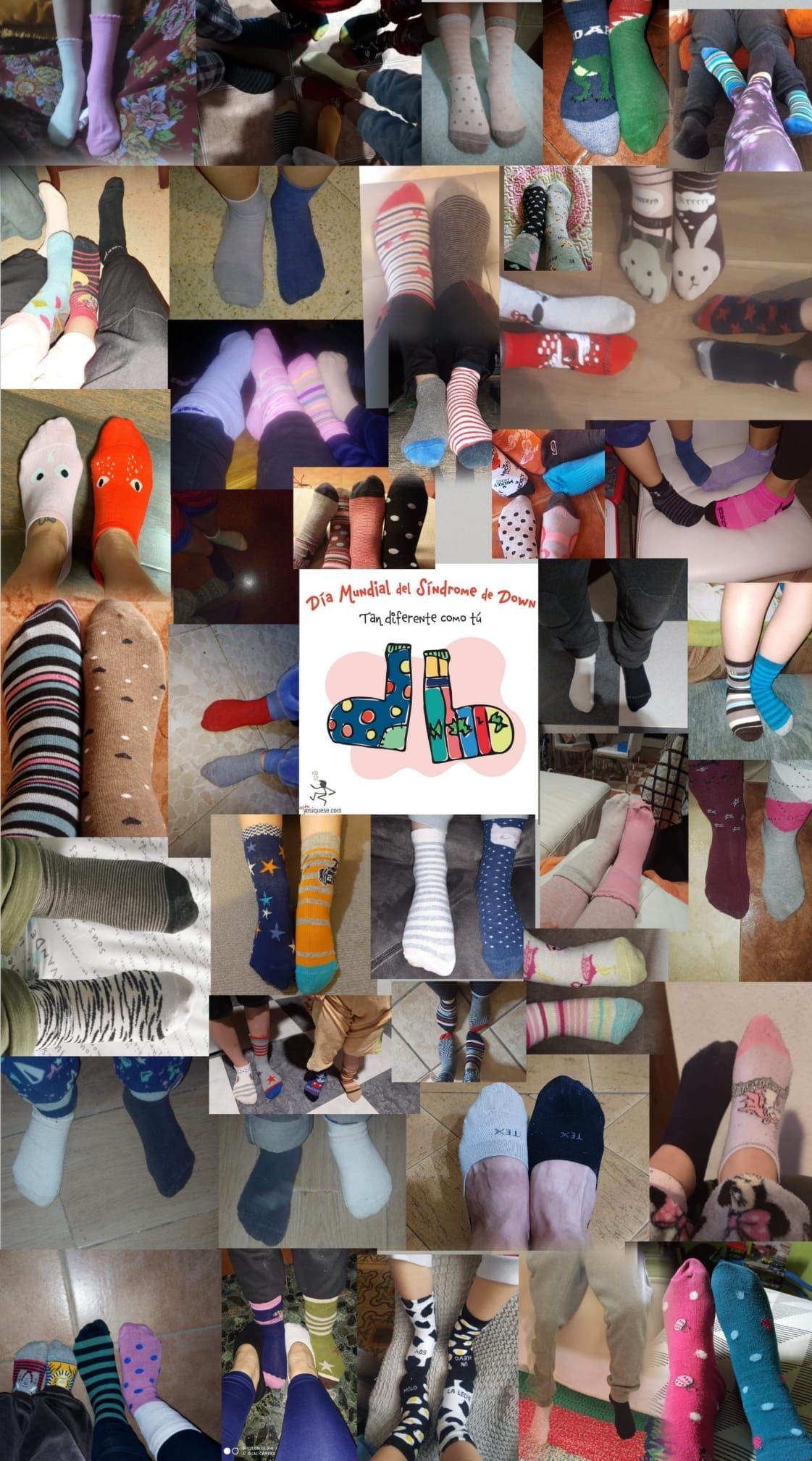 calcetines